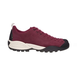 raspberry 40,5