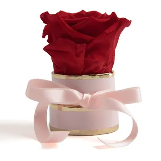 ROSEMARIE SCHULZ Heidelberg Kleine Rosenbox weiß rund Infinity Rose - Blumenbox 1 konservierte Rose (Rosa-Rot)