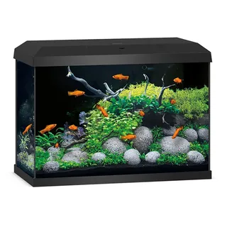 JUWEL AQUARIUM Primo 70 2.0 Zubehör schwarz