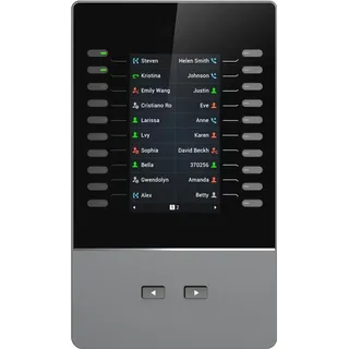 Grandstream GBX20 - Grau