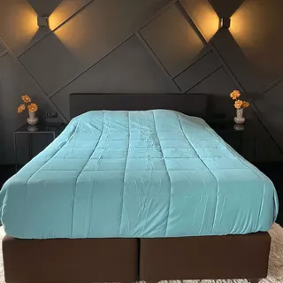 Zelesta Easybed Bettdecke 155x220 4 Jahreszeiten - Bettwäsche winterdecke und Sommer-Bettdecke warm Duvet - Waschbare bettdecke ohne Bezug - Anti-Allergene Steppdecke