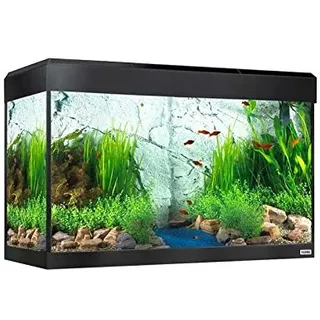 Fluval Roma Aquarium-Set mit LED-Beleuchtung, Bluetooth, 125 l, Schwarz