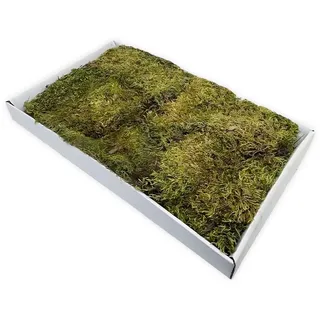 Moranduzzo – Moosteppich Natur 44x32 cm – Handarbeit Made in Italy – Zubehör und Materialien für traditionelle Krippenlandschaften