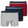 95/5 Shorts Organic Cotton webgummibund mehrfarbig 3er Pack