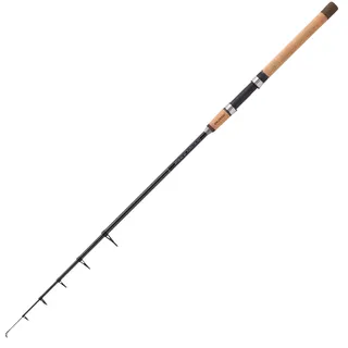 Balzer Edition IM-12 Mini Spin 2,40m