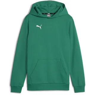 Puma teamGOAL Casuals Hoodie Jungen 05 sport green/white 128
