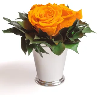 ROSEMARIE SCHULZ Heidelberg Infinity Blume in silberfarbenen Becher 3 konservierten Rosen Blumenarrangement langhaltend (Gelb, 3 Rosen)