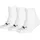 Socken 3 Paare Weiß 35-38