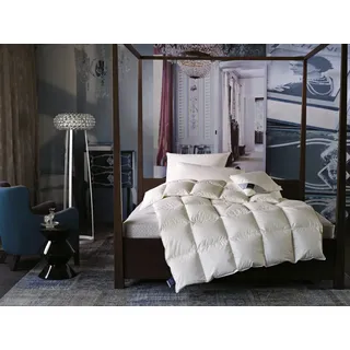 billerbeck Daunenbettdecke BILLERBECK "E14 Greta, Bettdecke in 135x200 cm, 155x220 cm, Sommer, Winter", beige (champagner), B:155cm L:220cm, Bezug: 100% Baumwolle. Füllung: 90% Entendaune, 10% Entenfeder, Bettdecken, Die Daunendecke mit dem blauen Engel