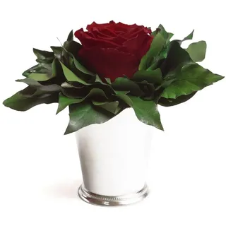 Kunstblumenstrauß Blumengesteck 1 Infinity Rose Becher silberfarben Geschenk für Frauen Rose, ROSEMARIE SCHULZ Heidelberg, Höhe 12 cm, Echte Rose lange haltbar, Made in Germany rot