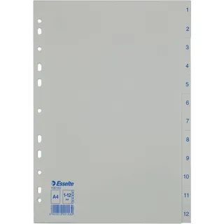 Esselte 100153 Tab-Register