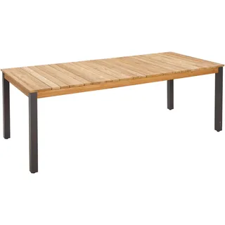 Zebra Technologies Zebra Derex Tischplatte 100x220cm, Teak-Edelstahl