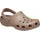 Latte 36-37