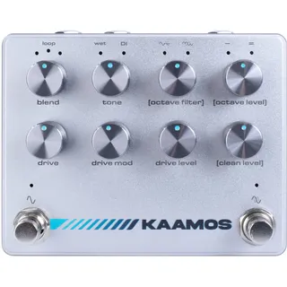 Darkglass Kaamos