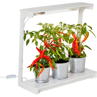 NORTHPOINT Pflanzenlampe LED 14W Viereck