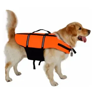 Schwimmweste für den Hund S