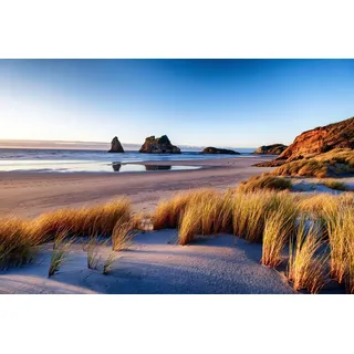 Papermoon Fototapete DÜNEN-WHARARIKI BEACH MEER SEE KÜSTE STRAND SYLT BAUM bunt 3,5 m x 2,6 m