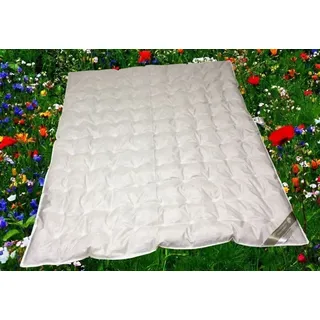 Betten Hofmann Sommerdecke Daunendecke Punktstepp 155x220 cm 100% Daunen, superleicht, Naturprodukt, waschbar