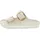 Eggshell 36