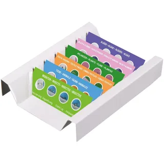 Bresser Junior 24 Dauerpräparate im Mikroskop-Starter-Set für Kinder ab 6 Jahren auf 6 Objektträgern zu verschiedenen Themen