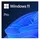 for Workstation DVD DSP/SB UK