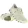 Damen Seedling / Ice 36,5