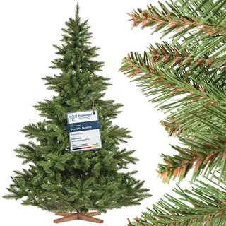 FAIRYTREES Weihnachtsbaum künstlich NORDMANNTANNE, grüner Stamm, Material PVC, inkl. Holzständer, 220cm