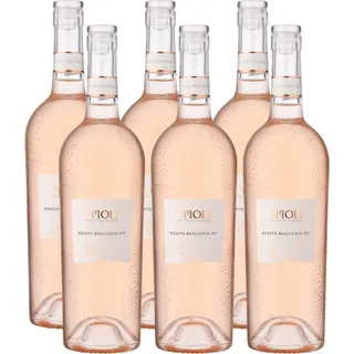 Pipoli Rosato Basilicata IGP Roséwein 6x 0,75l - 13% Vol. | Italienischer Roséwein