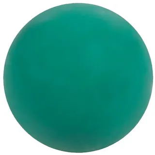 WV Gymnastikball Gymnastikball aus Gummi, Ideal für Fang- und Wurfübungen in Schule, Verein, Therapie grün