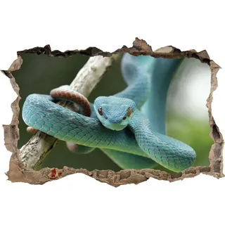 DesFoli Wandtattoo Schlange Reptil - verschiedene Rahmentypen DW000045 Farbe Brauner Stein Querformat, Größe 90 cm x 60 cm