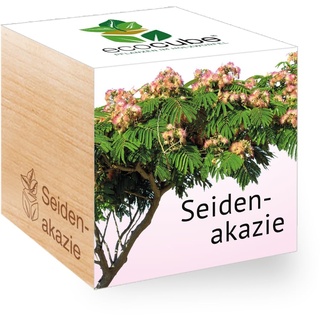 Feel Green - WE CREATE NATURE 297920 Feel Green Ecocube Seidenakazie, Nachhaltige Geschenkidee (100% Eco Friendly), Grow Your Own/Anzuchtset, Pflanzen Im Holzwürfel, Made in Austria