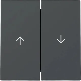 Gira 029428 Wippen mit Pfeilsymbol System 55 Anthrazit