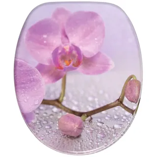 Sanilo Blooming rosa