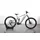 2026 29 Zoll slapgrey´n´chrome XL