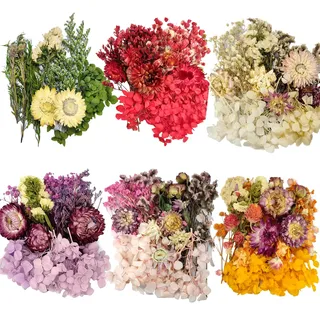 CoolCrafts 6 Pack Natürliche Getrocknete Blumen Trockenblumen Bunt Trockenblumen Klein zum Basteln, Projekt Dekoration, Trockenblumenkranz
