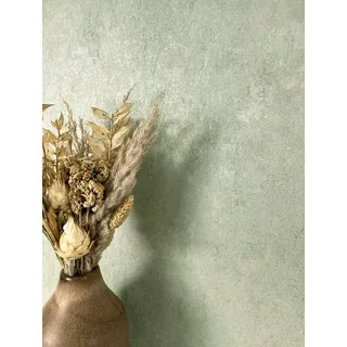 Newroom Vliestapete Damir Sage Tapete Universal Unifarbe,Putz-Optik,Leicht glänzend, Grün Tapete Modern Unifarbe - Universal Einfarbig Salbei Metallic Uni Industrial Putz-Optik Leicht glänzend für Schlafzimmer Wohnzimmer Küche, Einfarbig grün