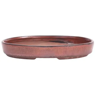 Bonsai-Shopping Bonsai Schale oval 21 x 15,5 x 3,5 cm kupferfarben