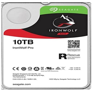 10 TB 3,5" ST10000NE000