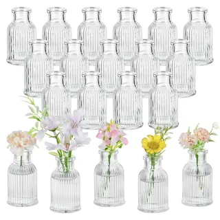 Glasseam Kleine Vasen Glas für Hochzeit: 20 Stück Mini Vase für Party Home Room Wohnzimmer Regal Tisch Deko- Blumenvase Klein Glasvasen Set für Blumen Bud Trockenblumen Pflanzen