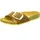 schmal cognac 37