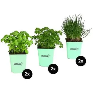 GREENBAR® Küchenkräuter-Set, 6-teilig, Grün
