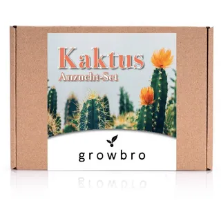 Kunstkaktus KAKTUS Anzuchtset inkl. Sprühflasche PERFEKTES GESCHENK, growbro, - Bekannt aus Social Media