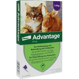 Elanco Advantage 80 für Katzen und Zierkaninchen 4 x 0,8 ml