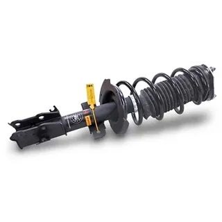 gh Federbein Komplett Federbein