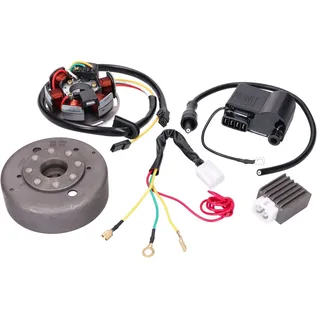 Standard Parts Zündung komplett Digital 12V CDI Kokusan Nachbau für Kreidler/Sachs/Zündapp DMP