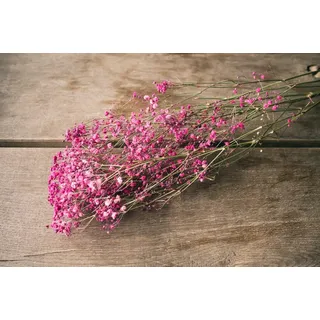 NaDeco Schleierkraut, getrocknet, im Bund, Länge ca. 50-60cm, in Natur und Gefärbt Gypsophila paniculata Gipskraut Trockenblumen Naturdeko Trockendeko für Vasen Pampasgras Deko, Farbe:Dunkelrot