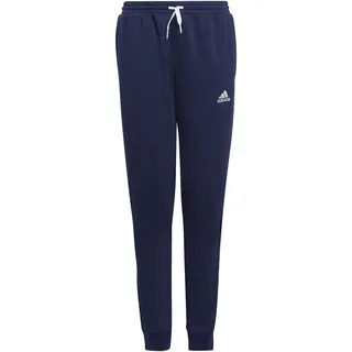 adidas Entrada 22 Sweat Pants