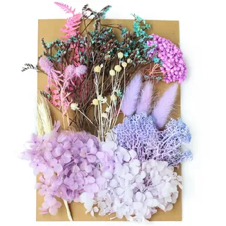 WUMZIRA Natürliche getrocknte Blumen, Trockenblumen Zum Basteln Trockenblumen Klein Trockenblumen Set für DIY-Kerzenharz, Schmuck, Nägel, Scrapbooking-Bastelarbeiten