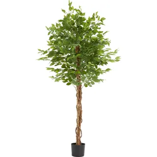 Tectake tectake® Künstlicher Ficusbaum, verschiedene Größen, mit viel Volumen, stabiler Kunststoff-Blumentopf