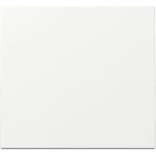 Gira Wippe Wechselsch. rws-gl 029603